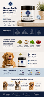 Dental Probiotic For Dogs