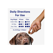 Teemdrop Pet Palace pet nutrition gummies for dogs and cats, soft chewy treats in colorful packaging, pet care supplement.