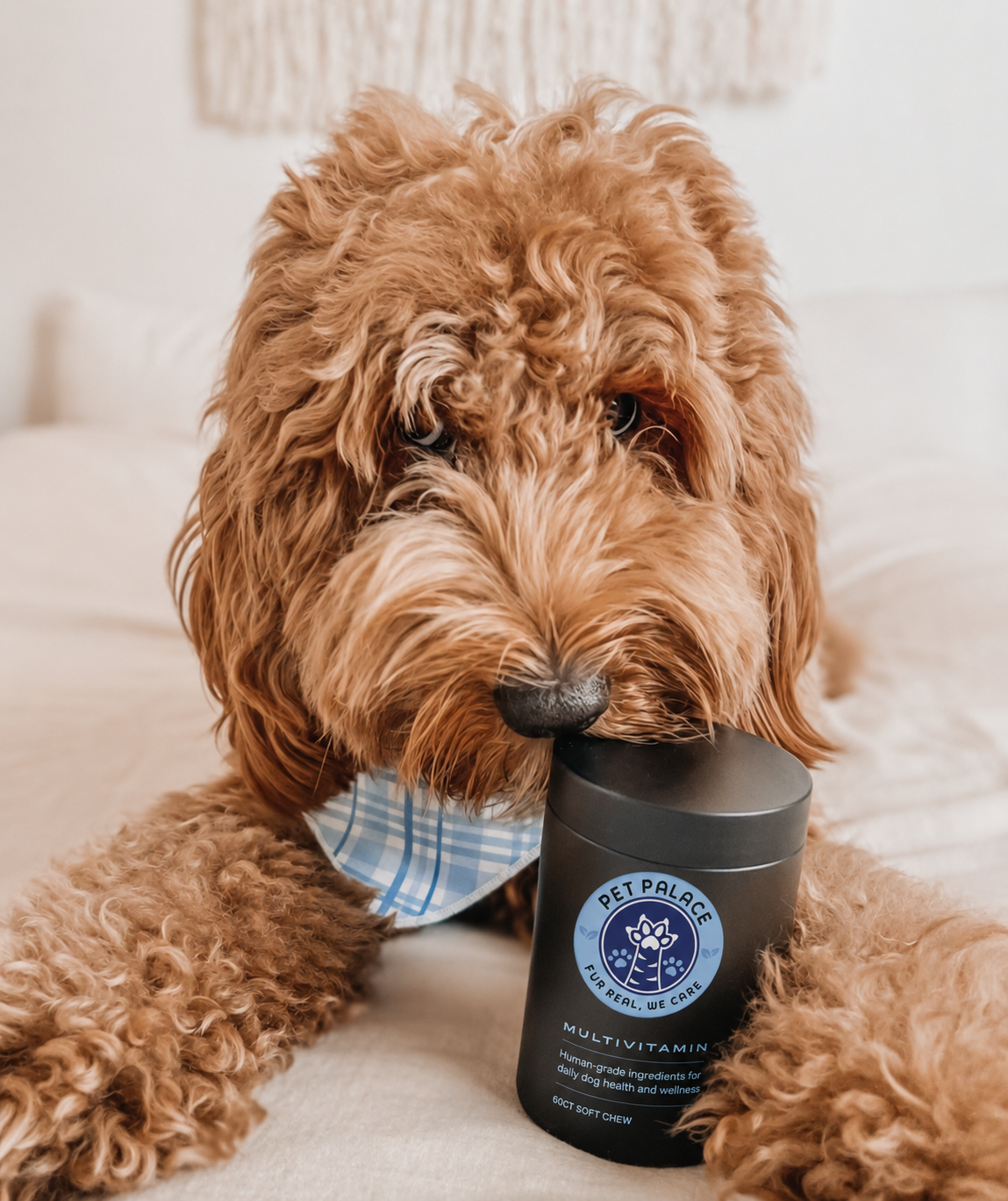 Teemdrop Ultra Nutrient Vitamins Pro for pets, showing colorful bottles of pet care supplements on a white background.