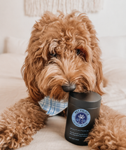 Teemdrop Ultra Nutrient Vitamins Pro for pets, showing colorful bottles of pet care supplements on a white background.