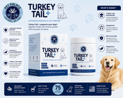 Turkey tail Immunity