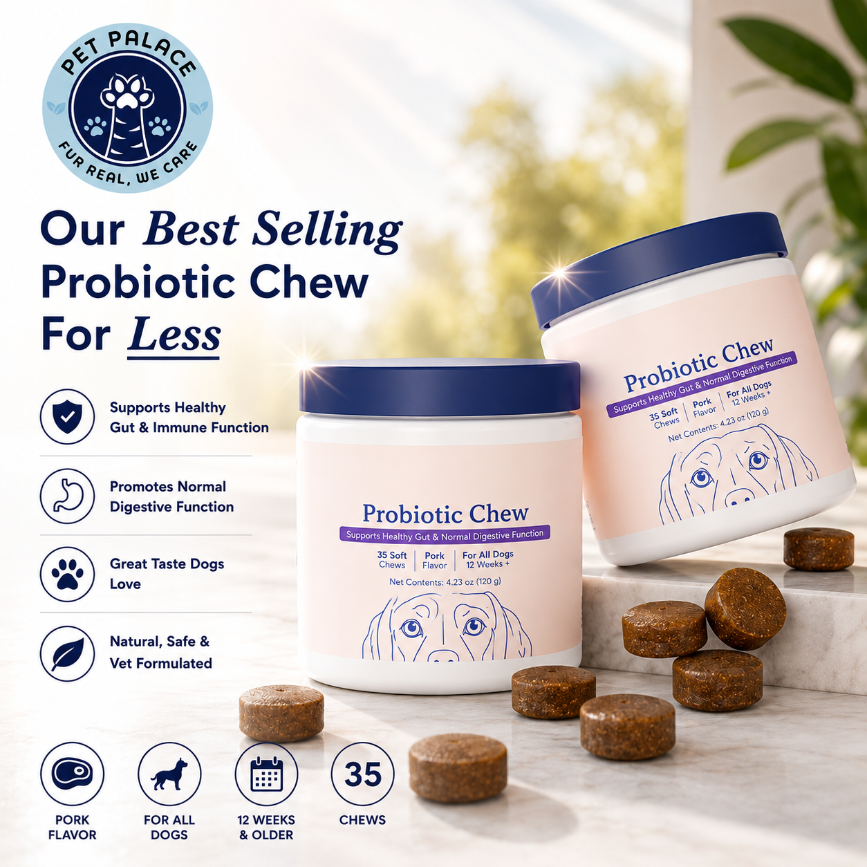 GutGuard Chew — Probiotic Support for Dogs