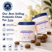 GutGuard Chew — Probiotic Support for Dogs