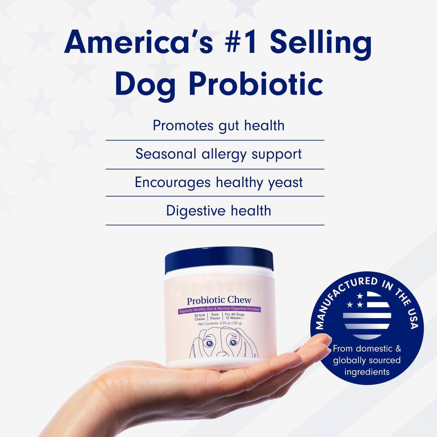 Teemdrop Pet Palace pet nutrition gummies for dogs, colorful soft chews in a bowl for healthy pet care.