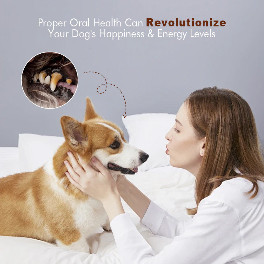 Teemdrop PowerPuppy Probiotic Oral Health+ for pets, showing the chewable supplement with packaging and a happy dog.