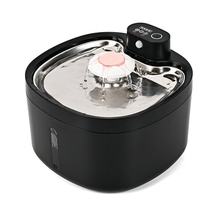 Automatic Water Dispenser