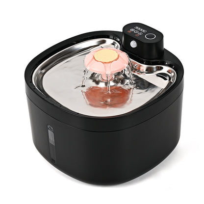 Automatic Water Dispenser